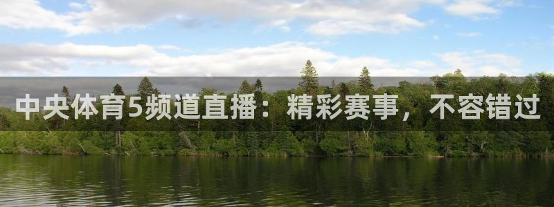 中央体育5频道直播：精彩赛事，不容错过