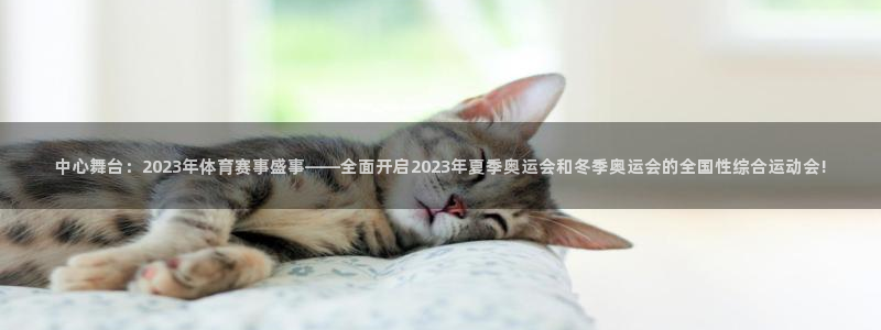 中心舞台：2023年体育赛事盛事——全面开启2023年夏季奥运会和冬季奥运会的全国性综合运动会!