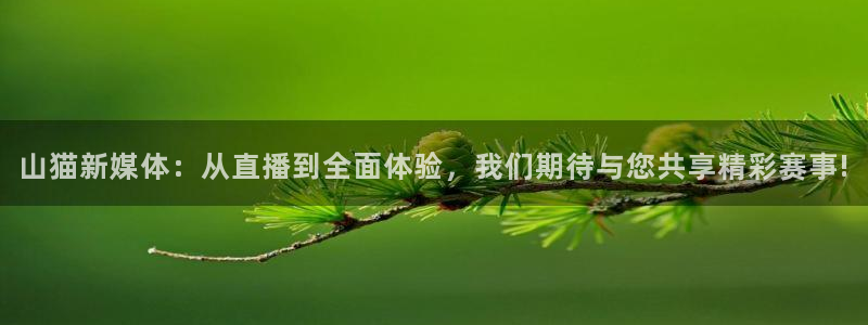 山猫新媒体：从直播到全面体验，我们期待与您共享精彩赛事!